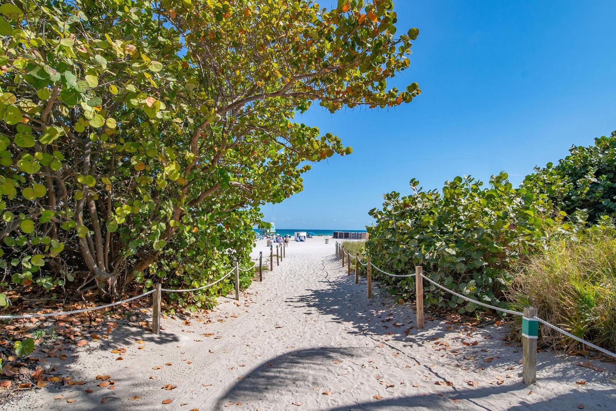 Charming Large Studio Near Ocean Dr - South Beach Miami Beach Bagian luar foto