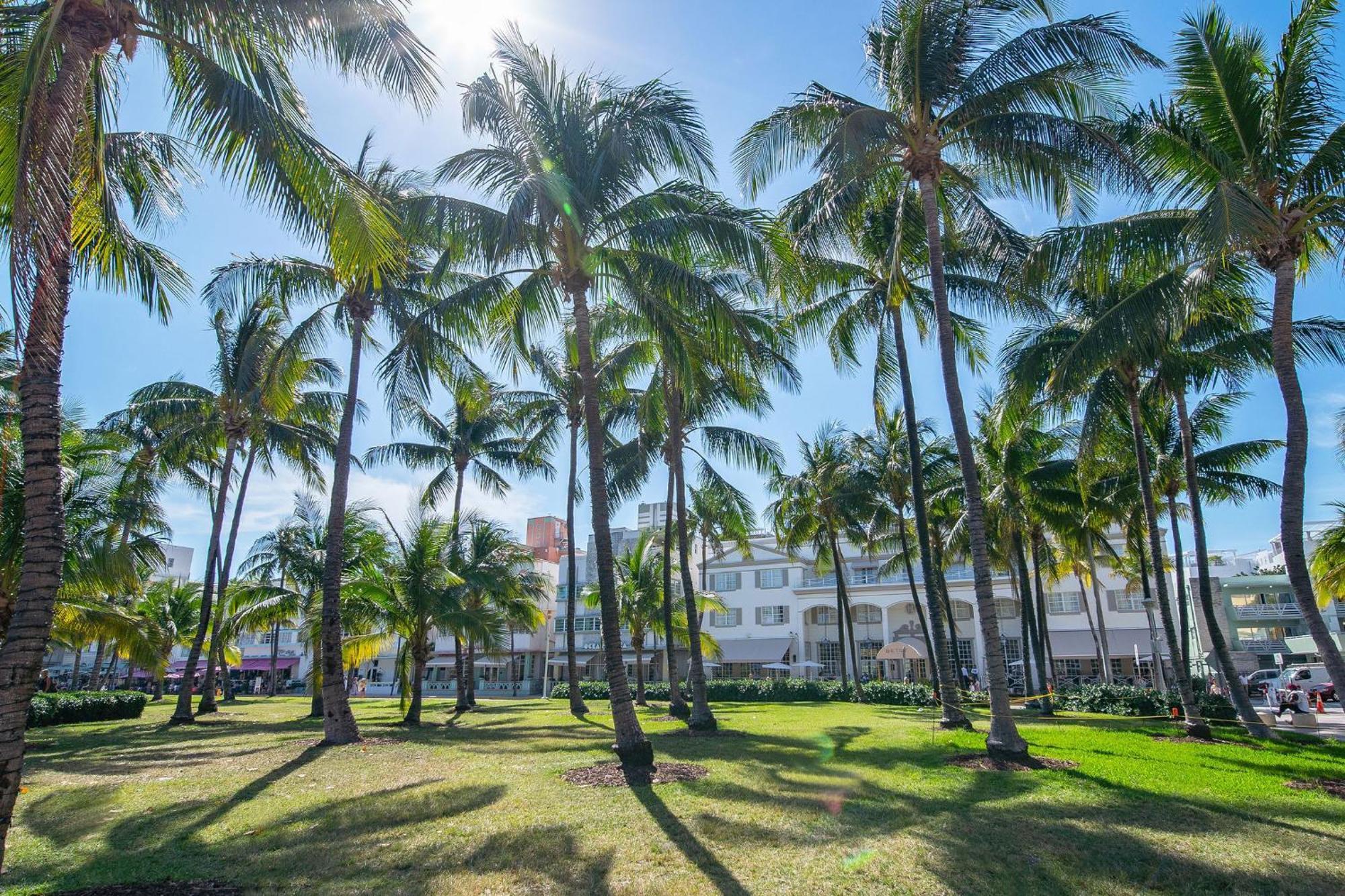 Charming Large Studio Near Ocean Dr - South Beach Miami Beach Bagian luar foto